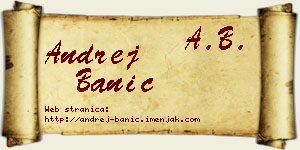 Andrej Banić vizit kartica